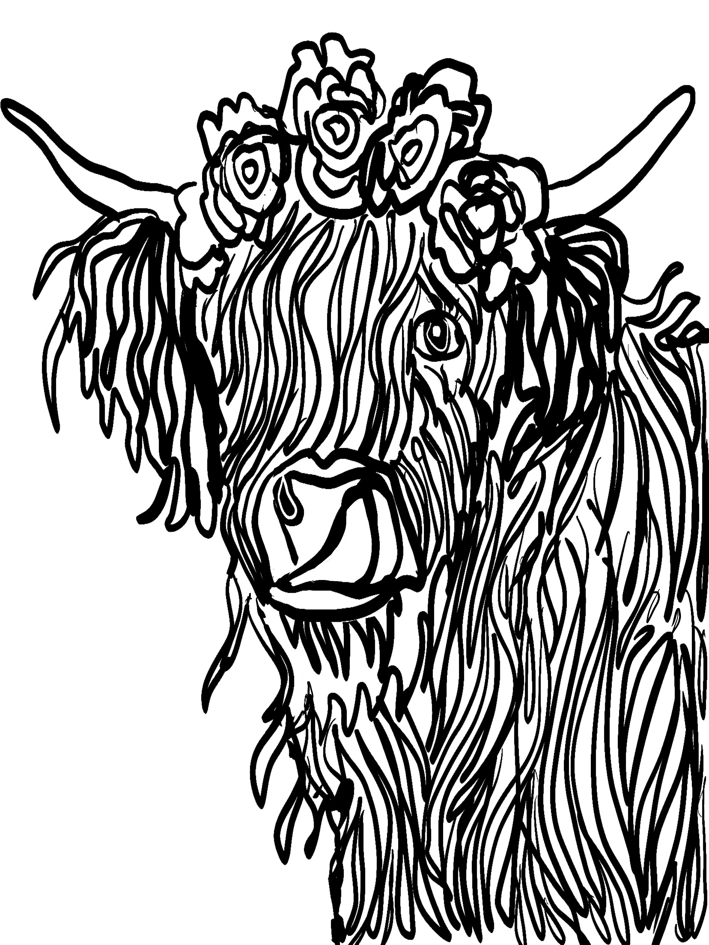 Printable Highland Cow Colouring Page